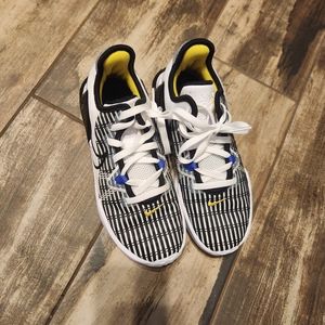 Lebron Witness Basketball Shoes